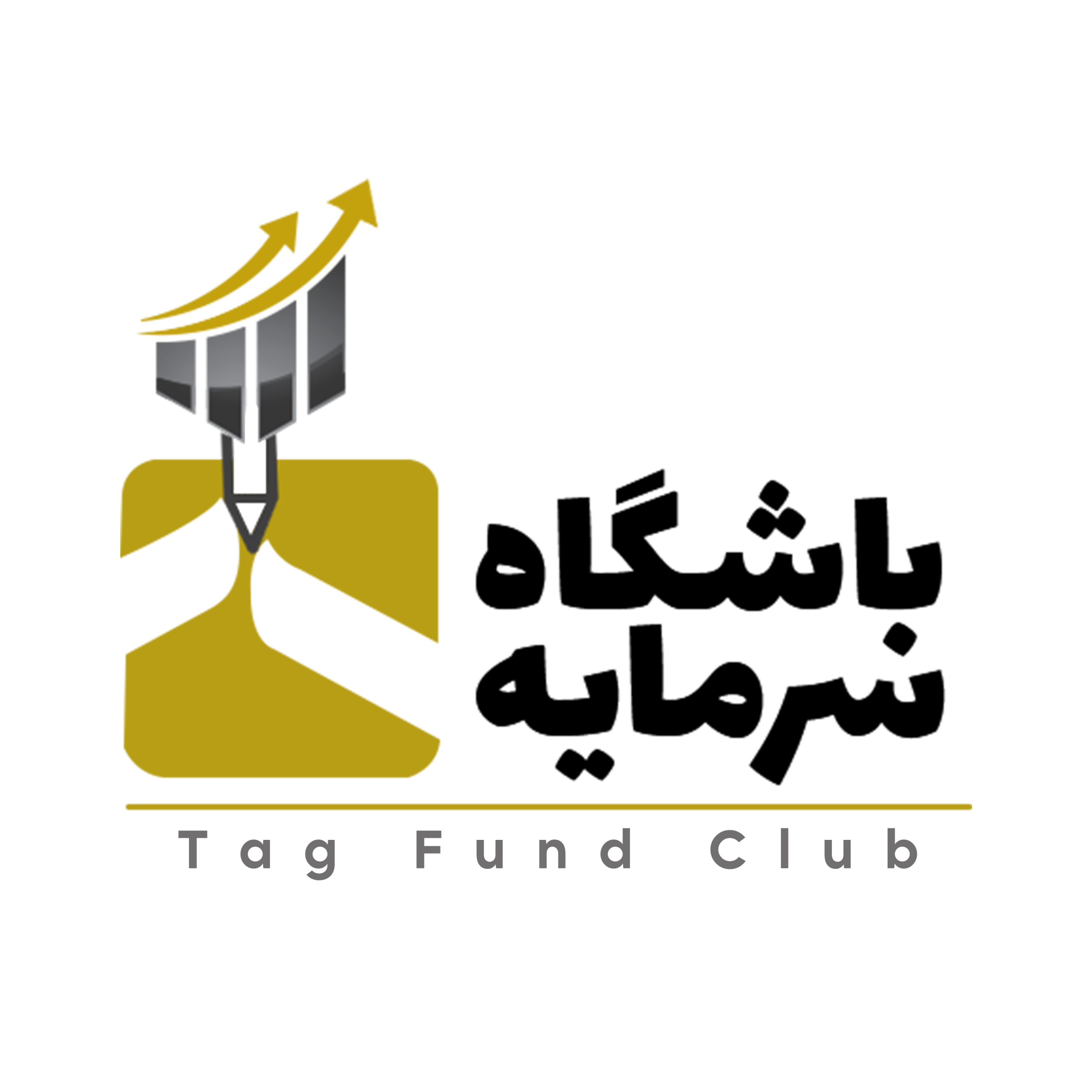 لوگو 7